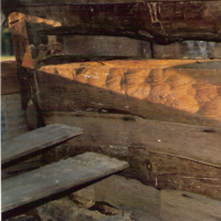 Adze marks on the logs of the interior of the log house.